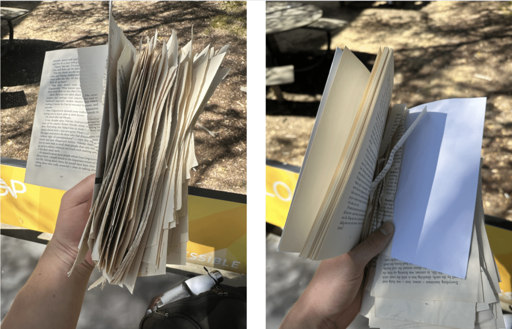 Torn, ruined book. Book-banning. Everything Flows. Vasily Grossman. Resist Trump